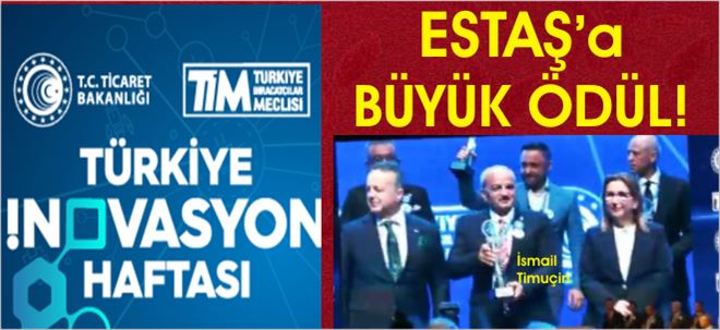 Bu Mudur İşte Budur!