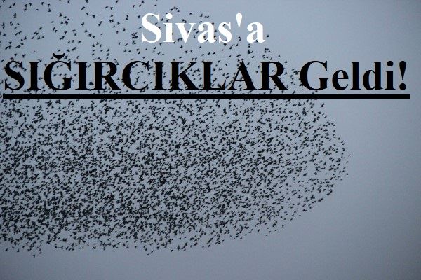ERKEN GELDİLER!