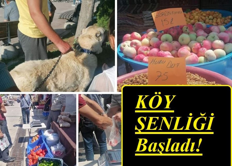 ÜRÜNLER İLGİ GÖRDÜ!