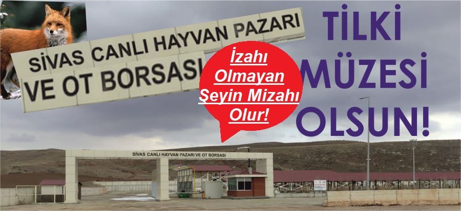 NEDEN OLMASIN?