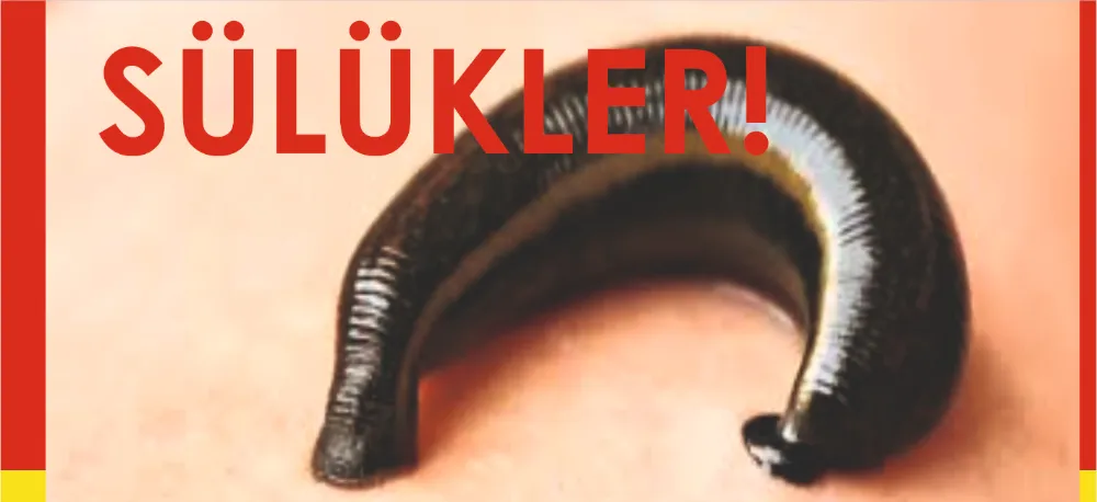 KALBİMİZDEN MÜSAÂDE İSTEYEN EN ZARİF HEKİM