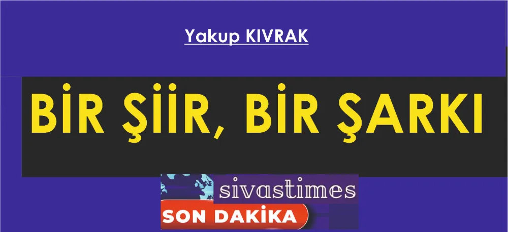 BİR ŞİİR, BİR ŞARKI