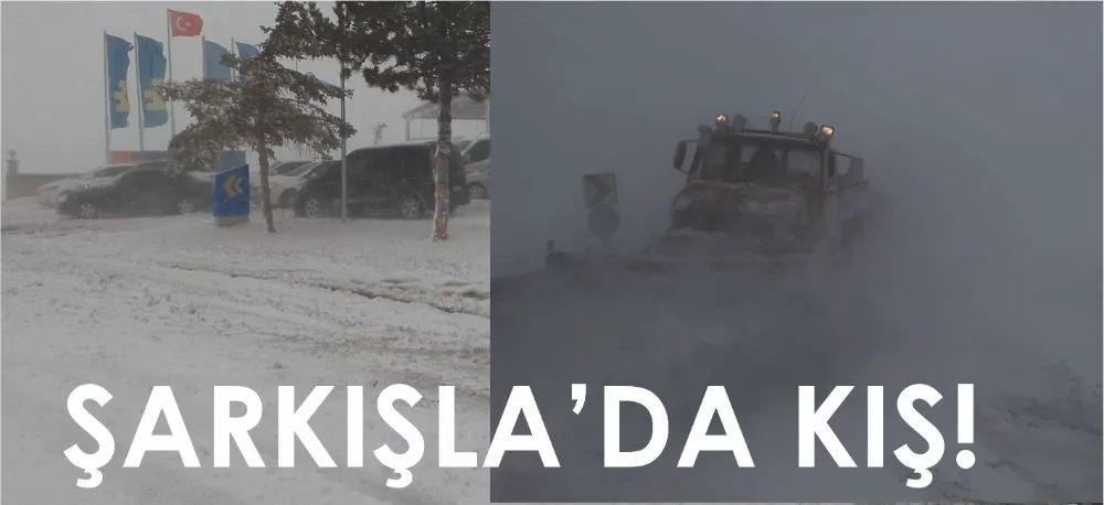 MART MARTLADI!