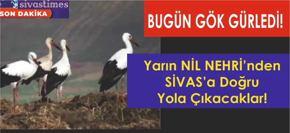 GÖK GÜRLEYİNCE GELİYORLAR!
