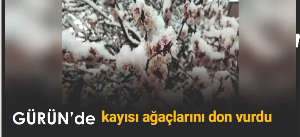 TADIMLIK KAYISI BİLE KALMADI!