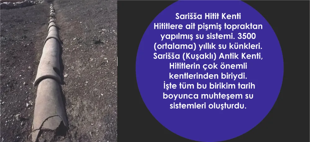 SARİSSA ,SU (PÖYREKLERİ) KÜNKLERİ!