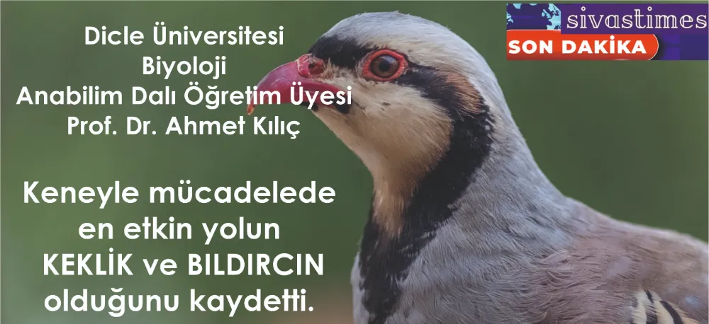 KEKLİK AVI YASAKLANSIN!