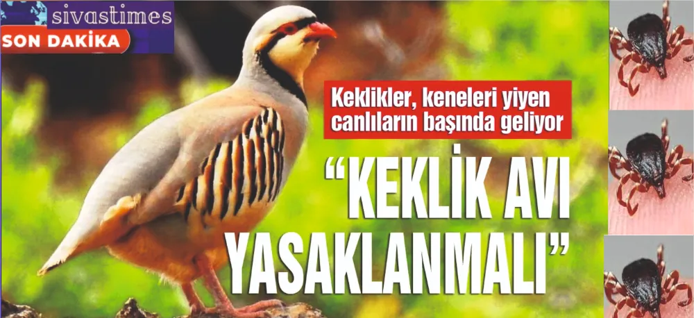 YETKİLİLER GÖREVE!