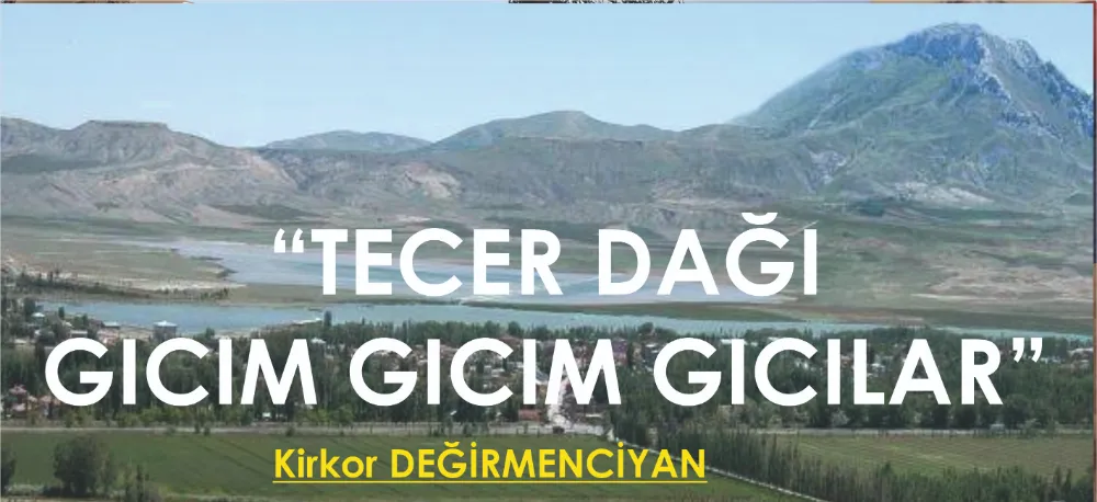 TECER DAĞI, GICIM GICIM GICILAR!