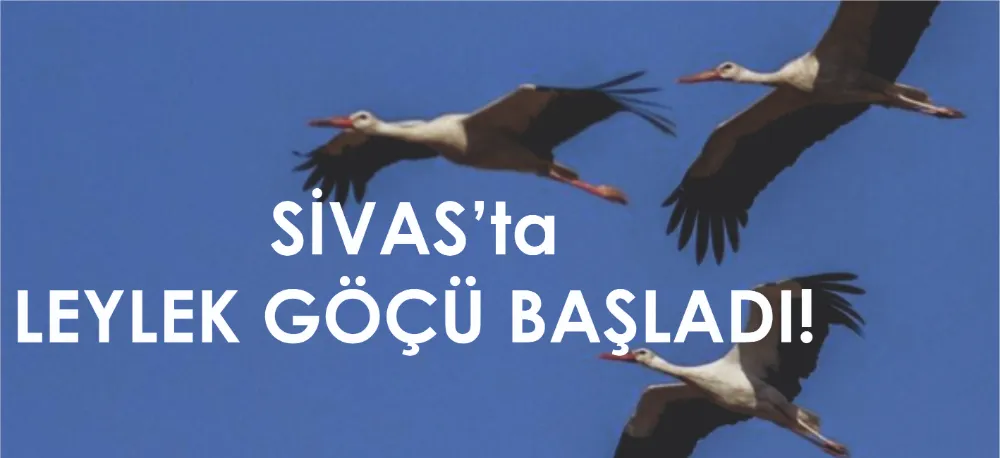 YENİ AY ÇIKTI, LEYLEKLER YOLA DÜŞTÜ!